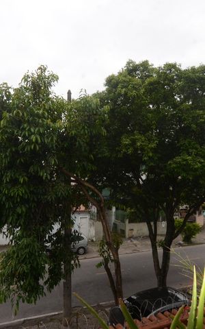 Casa para alugar com 500m², 3 quartos e 4 vagasVista da Varanda da Goumert