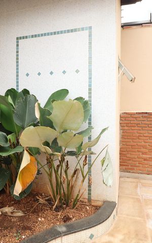 Casa para alugar com 200m², 3 quartos e 3 vagasJardim