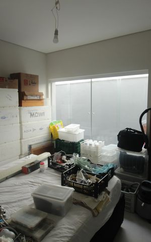 Casa para alugar com 150m², 2 quartos e 2 vagasQuarto 2