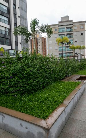 Apartamento para alugar com 98m², 3 quartos e 2 vagasÁREA DE CIRCULAÇÃO