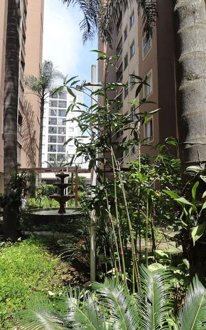 Apartamento para alugar com 44m², 2 quartos e 1 vagaJardim