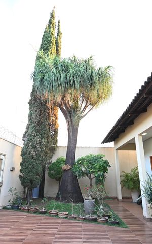 Casa à venda com 187m², 3 quartos e 3 vagas