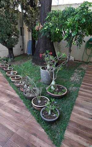 Casa à venda com 187m², 3 quartos e 3 vagas