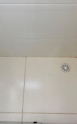 Apartamento para alugar com 55m², 2 quartos e 1 vaga Apartamento para alugar com 55m², 2 quartos e 1 vagaBanheiro 1