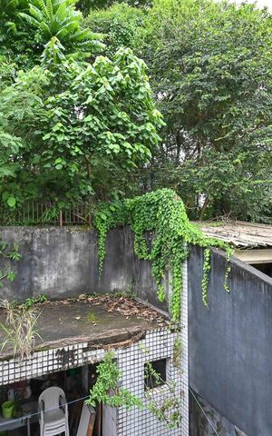 Casa para alugar com 260m², 3 quartos e 2 vagasVista da Suíte 