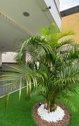 Apartamento à venda com 80m², 2 quartos e 1 vaga