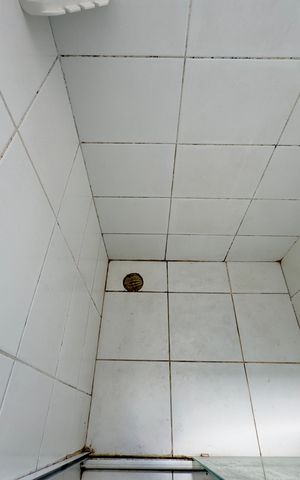 Apartamento para alugar com 71m², 3 quartos e 1 vaga Apartamento para alugar com 71m², 3 quartos e 1 vagaBanheiro 1