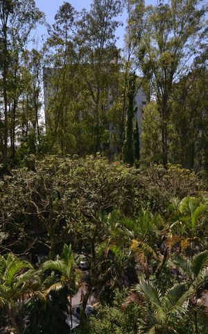 Apartamento para alugar com 63m², 3 quartos e 2 vagasQuarto