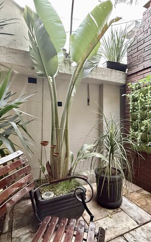 Studio para alugar com 40m², 1 quarto e sem vagaÁrea comum