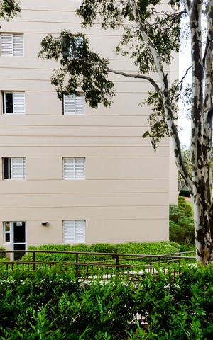 Apartamento para alugar com 57m², 2 quartos e 1 vagaVista do Quarto 1