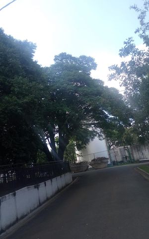 Apartamento à venda com 47m², 2 quartos e 1 vaga Apartamento à venda com 47m², 2 quartos e 1 vagaÁrea externa