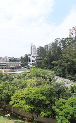Apartamento para alugar com 74m², 2 quartos e 2 vagasVista da Varanda