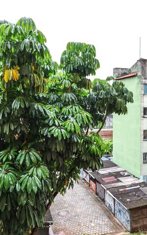 Apartamento à venda com 46m², 2 quartos e 1 vagaSala