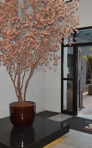 Apartamento para alugar com 70m², 2 quartos e 1 vagaHall