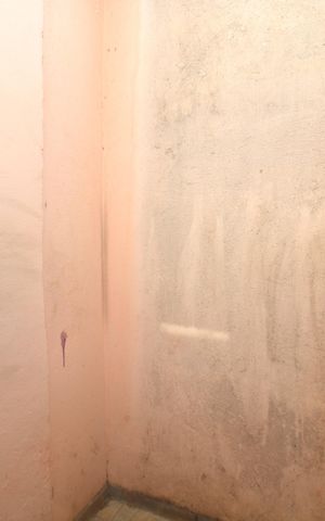 Casa à venda com 22m², 1 quarto e sem vagaÁrea de Serviço
