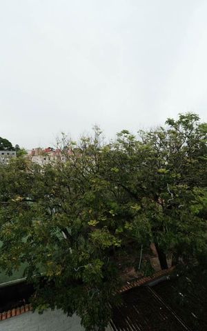 Apartamento à venda com 50m², 2 quartos e 1 vagaVista Quarto 1