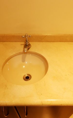Apartamento para alugar com 315m², 4 quartos e 4 vagasLavabo - Pia