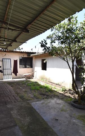 Casa para alugar com 65m², 3 quartos e sem vagaQuintal