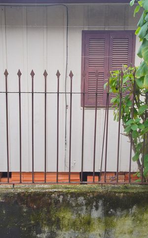 Casa para alugar com 332m², 3 quartos e 3 vagasVista do Quarto 2