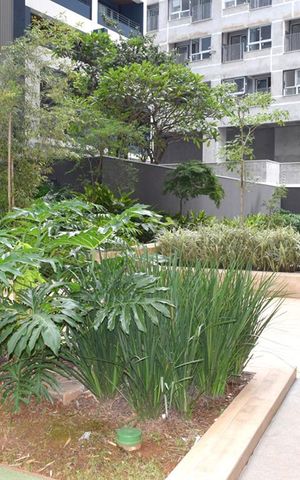 Apartamento para alugar com 63m², 2 quartos e 1 vagaJardim
