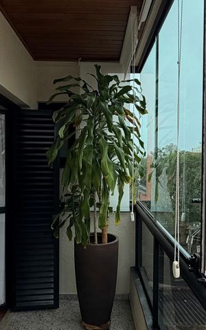 Apartamento para alugar com 126m², 3 quartos e 2 vagas Apartamento para alugar com 126m², 3 quartos e 2 vagasVaranda
