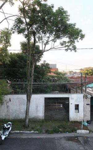 Casa à venda com 230m², 5 quartos e 3 vagasVista do Quintal