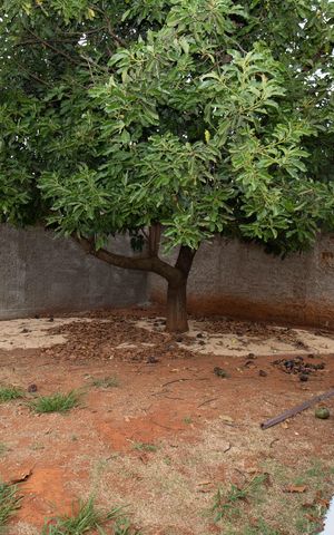Casa de condomínio para alugar com 100m², 1 quarto e 3 vagas Casa de condomínio para alugar com 100m², 1 quarto e 3 vagasQuintal