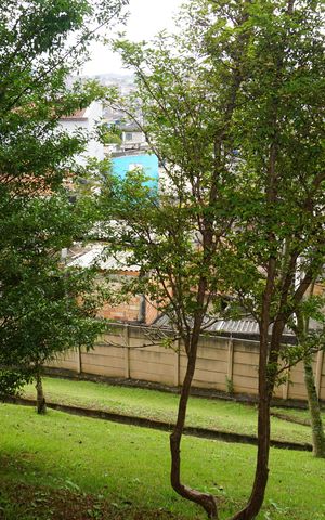 Apartamento para alugar com 37m², 2 quartos e sem vagaVista do Quarto 2