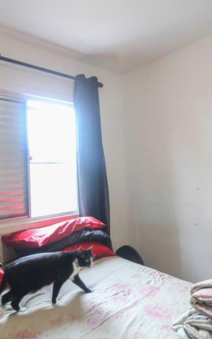 Apartamento à venda com 60m², 3 quartos e 1 vaga Apartamento à venda com 60m², 3 quartos e 1 vagaQuarto 1
