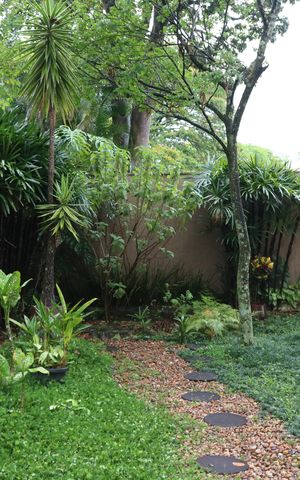 Casa para alugar com 321m², 3 quartos e 6 vagasQuintal