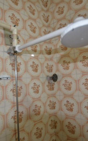 Casa para alugar com 45m², 1 quarto e sem vagaBanheiro