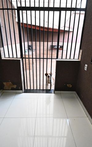 Casa à venda com 330m², 3 quartos e 4 vagas