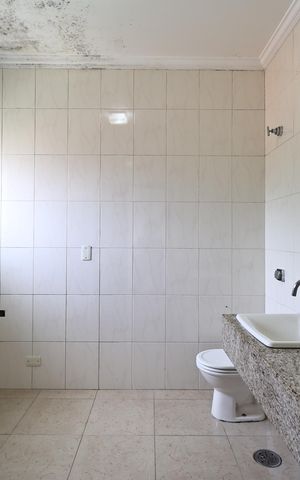 Casa para alugar com 250m², 4 quartos e 2 vagas Casa para alugar com 250m², 4 quartos e 2 vagasBanheiro da Suíte