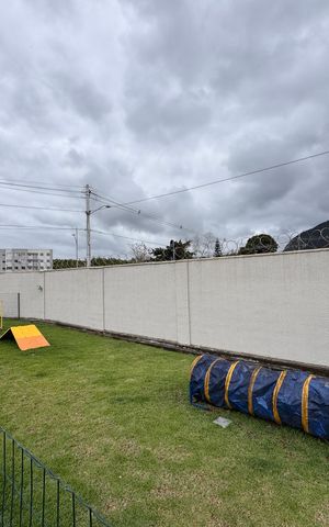 Apartamento para alugar com 66m², 2 quartos e 1 vaga Apartamento para alugar com 66m², 2 quartos e 1 vagaÁrea comum