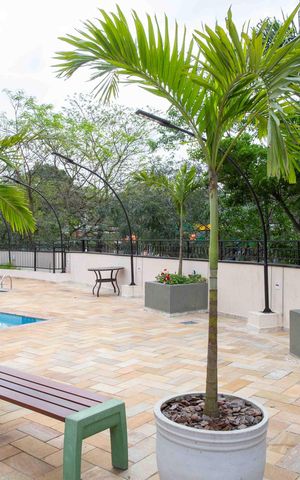 Apartamento para alugar com 63m², 2 quartos e 1 vagaPiscina