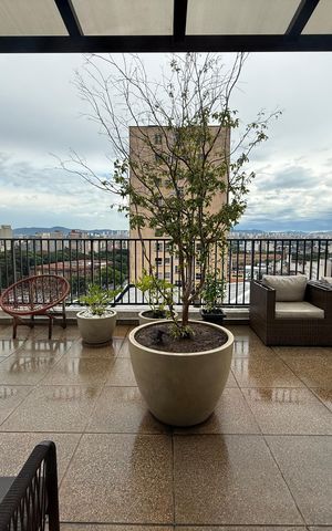 Studio para alugar com 25m², 1 quarto e 1 vaga