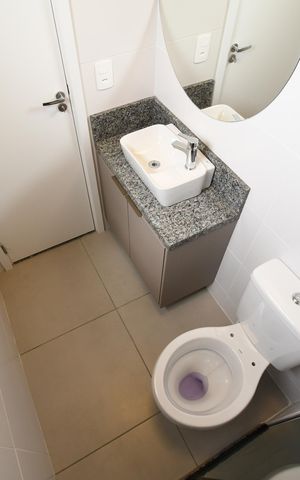 Apartamento para alugar com 48m², 2 quartos e sem vagaBanheiro da Suíte