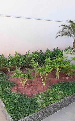 Apartamento para alugar com 37m², 2 quartos e sem vaga Apartamento para alugar com 37m², 2 quartos e sem vagaÁrea Verde