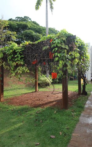 Apartamento à venda com 45m², 2 quartos e 1 vagaÁrea comum