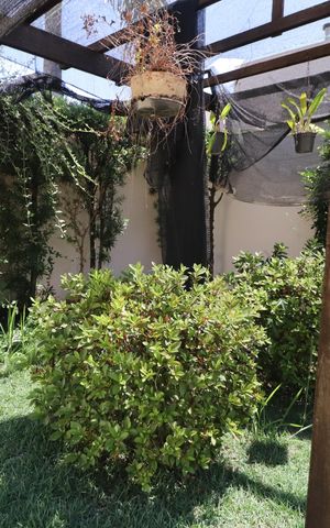 Casa de condomínio para alugar com 350m², 4 quartos e 4 vagasQuintal