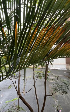 Apartamento para alugar com 62m², 3 quartos e 1 vagaQuarto 3 - Vista
