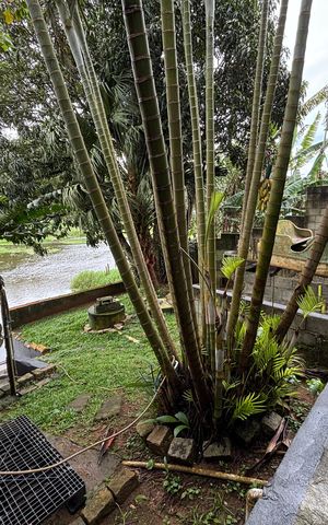 Casa à venda com 335m², 3 quartos e 2 vagas Casa à venda com 335m², 3 quartos e 2 vagasQuintal dos fundos