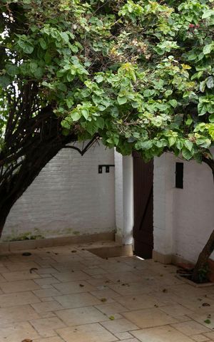 Casa para alugar com 262m², 4 quartos e 2 vagasGARAGEM