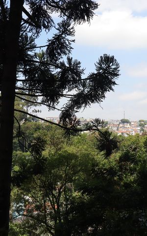 Apartamento para alugar com 64m², 2 quartos e 1 vagaVaranda - vista