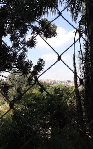 Apartamento para alugar com 64m², 2 quartos e 1 vagaQuarto 2 - vista