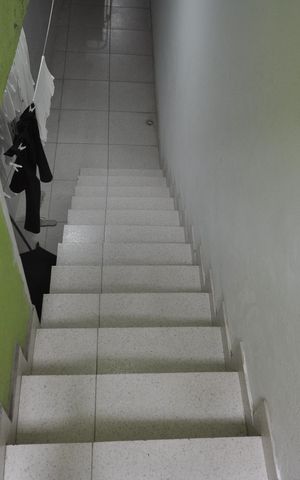 Casa para alugar com 33m², 1 quarto e sem vagaEscada de acesso