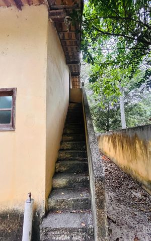 Casa de condomínio para alugar com 1000m², 2 quartos e 2 vagas