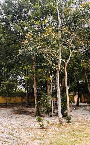 Casa de condomínio para alugar com 1000m², 2 quartos e 2 vagas