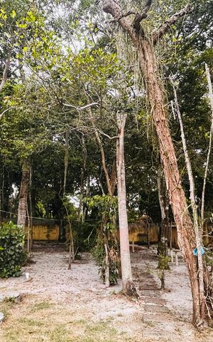 Casa de condomínio para alugar com 1000m², 2 quartos e 2 vagas