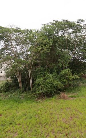 Apartamento para alugar com 50m², 2 quartos e 1 vaga Apartamento para alugar com 50m², 2 quartos e 1 vagaVista
